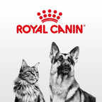 [Mèo] Thức ăn hạt Royal Canin Gastrointestinal hỗ trợ tiêu hóa cho mèo lớn và mèo con - Hỗ trợ tiêu hóa (400g - 2kg)