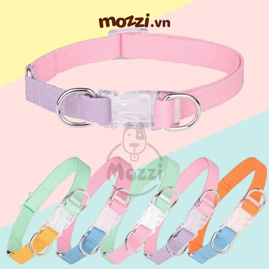 [Chó & Mèo] Vòng cổ - dây dắt Dây dắt kèm vòng cổ 7 màu - 7 màu phối (-)