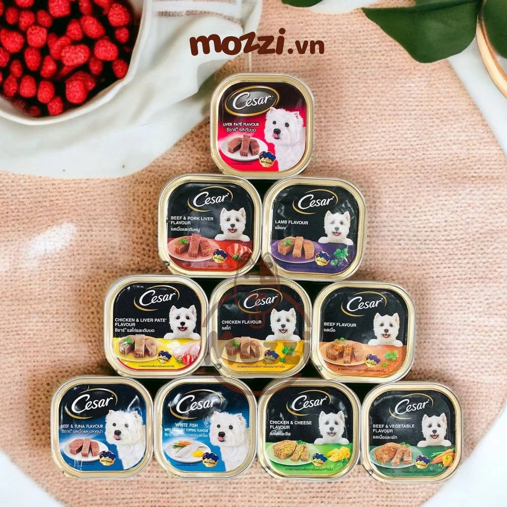 [Chó] Pate & thức ăn ướt Pate Cesar hộp mix vị - Mix vị (100gr)